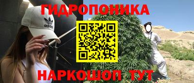 шишки Брянск