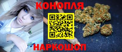шишки Брянск