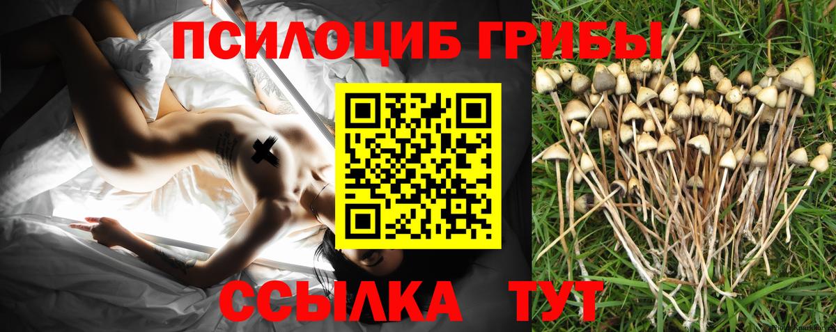Галлюциногенные грибы Magic Shrooms Боровичи