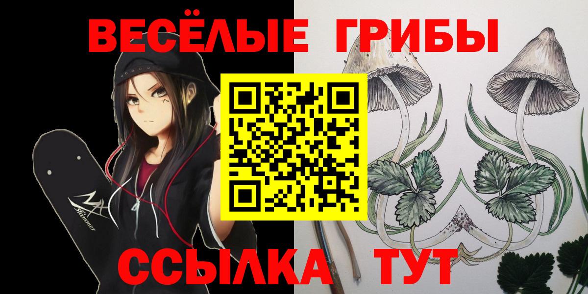 купить наркотик  Вход с VPN  Галлюциногенные грибы MAGIC MUSHROOMS  Боровичи  Псилоцибиновые грибы Psilocybine cubensis 